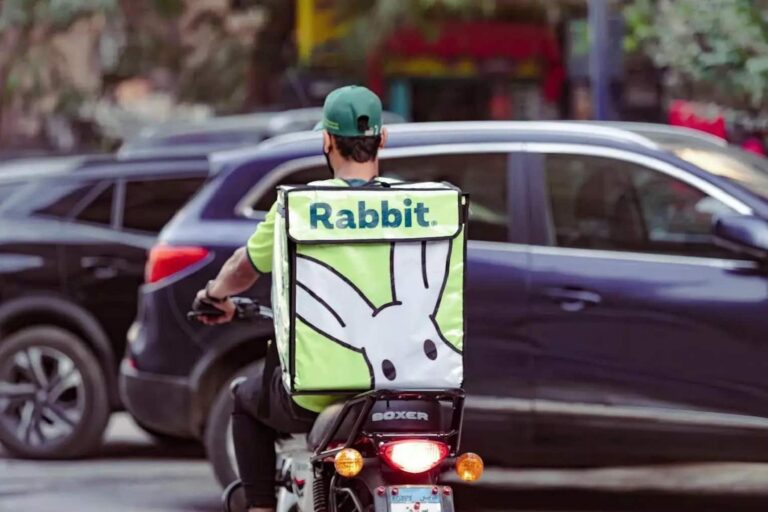 Rabbit